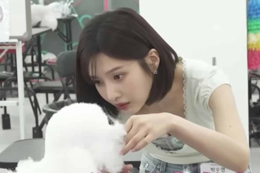 Joy's New Journey: Pet Grooming Ambitions