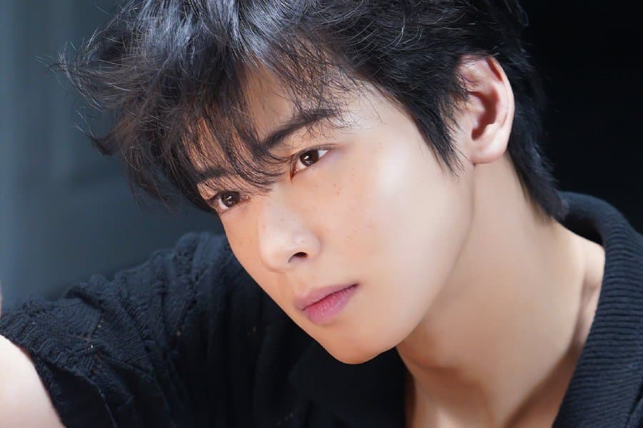 Cha Eun Woo's Tax Apology: A Deeper Look