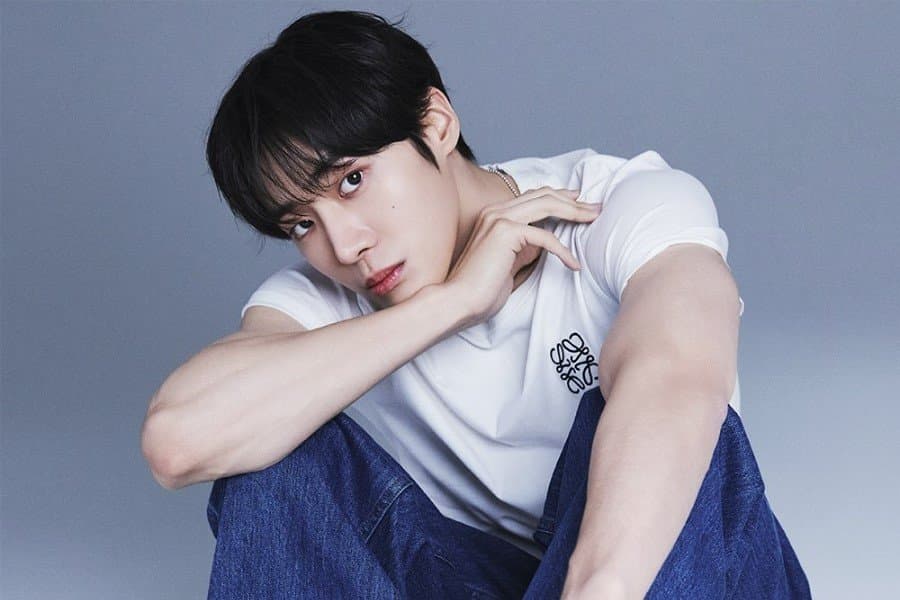 Meet K-Drama Star Choo Young Woo ๐
