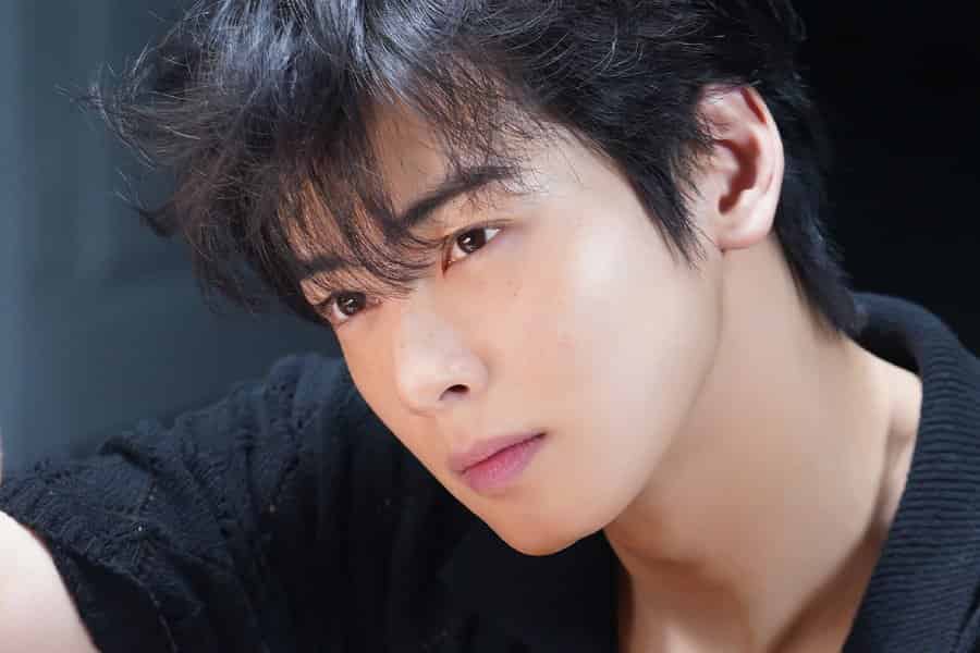 Cha Eun Woo's Tax Apology: A Deeper Look